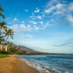 A tropical beach with palm trees, sandy shore, and blue sky.