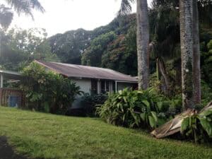 A house with trees and bushes in the background