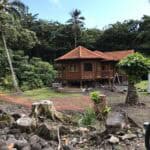 A house in the middle of a forest.